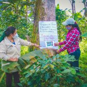 TechnoServe coffee farmers and trainer and client in Nicaragua