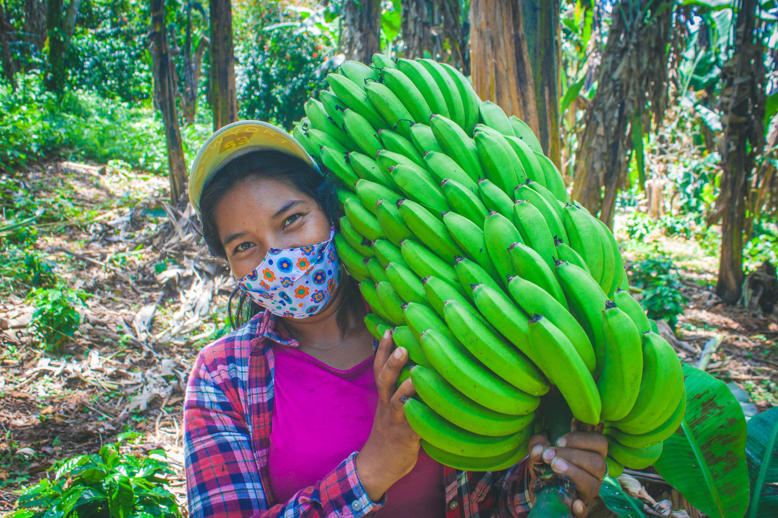 Rosa Gonzales carries a bunch of bananas in Matapalo, Nicaragua