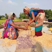 How can charitable giving fight poverty? Page hero image -Maize procurement in Uttar Pradesh, India