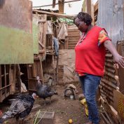 Kenyan entrepreneurs like Cecelia Njeru with turkeys she bought with the loan from 4G Capital to increase her revenue stream