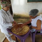 A family-run small business in Brazil produces fresh garlic.