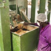 Photo of a food processor helping fight food insecurity in the developing world.