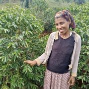 promoting gender equality in the coffee industry means empowering women farmers and small agribusiness owners