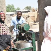 Women in agribusiness process peanuts in northern Nigeria