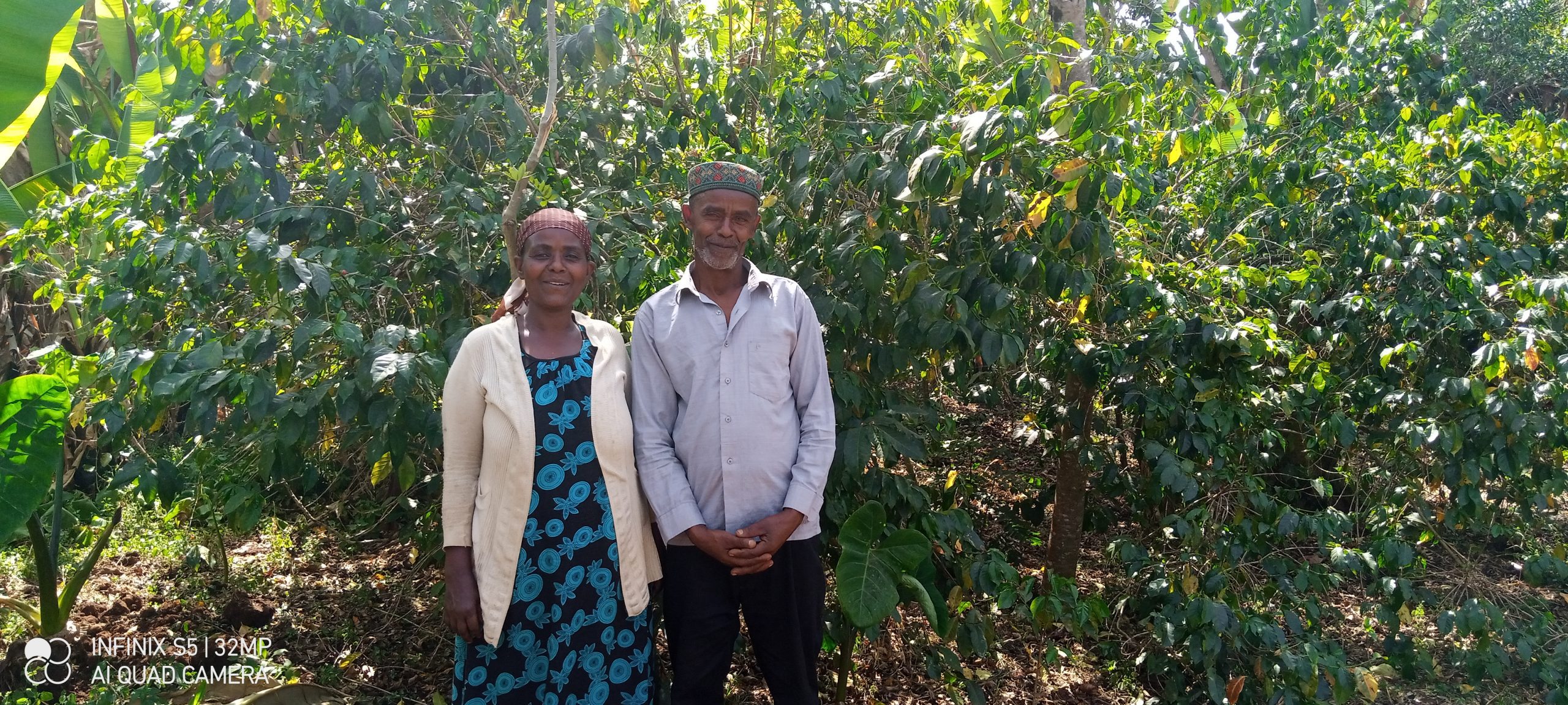 Fedila Hussein and Mustafa Tesfaye, two coffee farmers in Ethiopia, stand in front of their coffee trees.