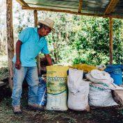 A coffee farmer organizes his fertilizer supply. In Honduras, COVID-19 has significantly impacted commercial agriculture.