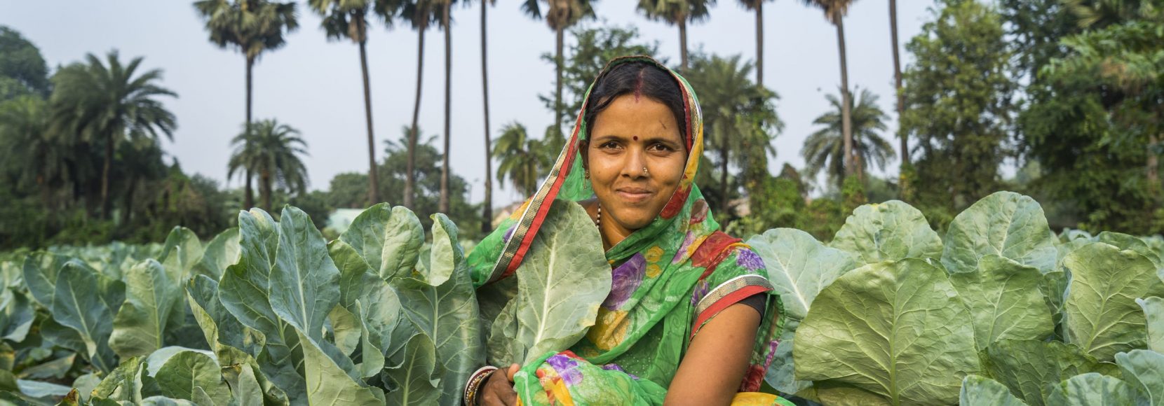 Take TechnoServe's food security quiz. Image of a vegetable farmer in India kneeling near her crops.