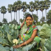 Take TechnoServe's food security quiz. Image of a vegetable farmer in India kneeling near her crops.