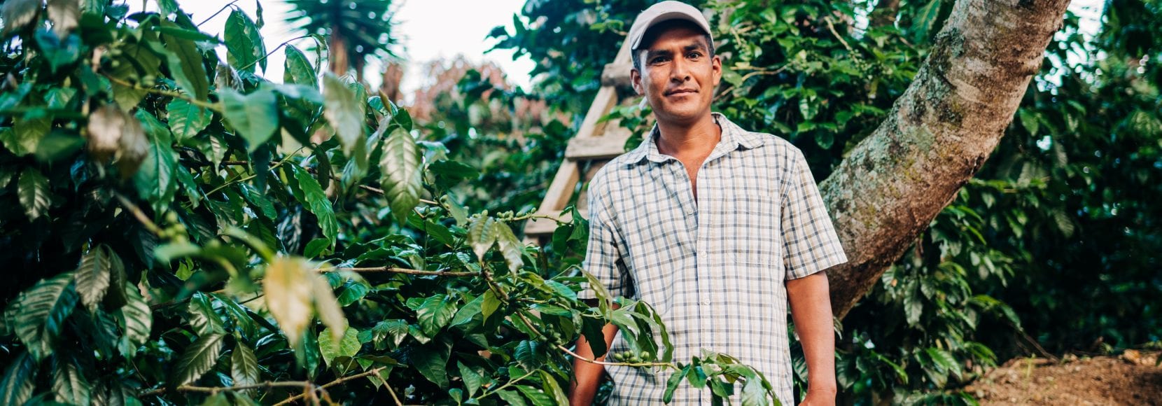 Coffee farmers who previously participated in TechnoServe's Better Coffee Harvest program. Taken October 2019.
