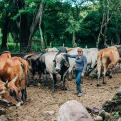 Gladys Gonzales stands with her cows in central Nicaragua. Retaining forests helps reduce the environmental impact of cattle ranching.