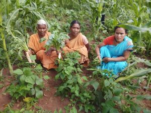 Women in Andhra Pradesh, India, tend to their kitchen gardens prior to the COVID-19 pandemic