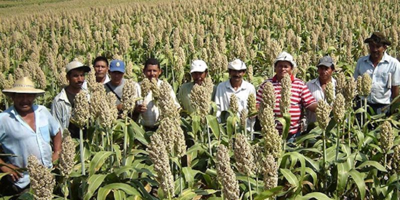 Nicaraguava-Farmers