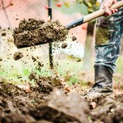 Farmer-digs-in-soil