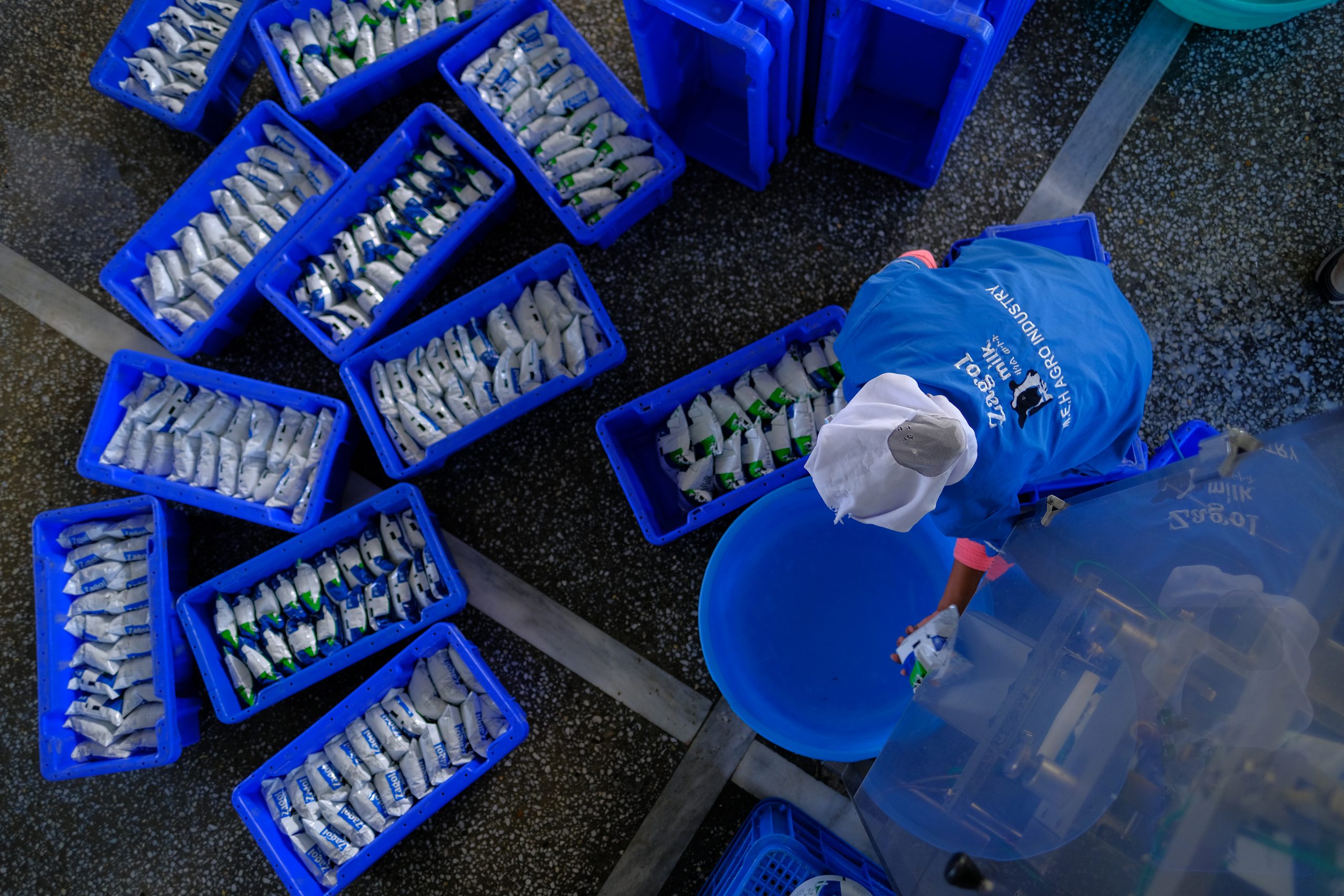 a food processing work sorts boxes