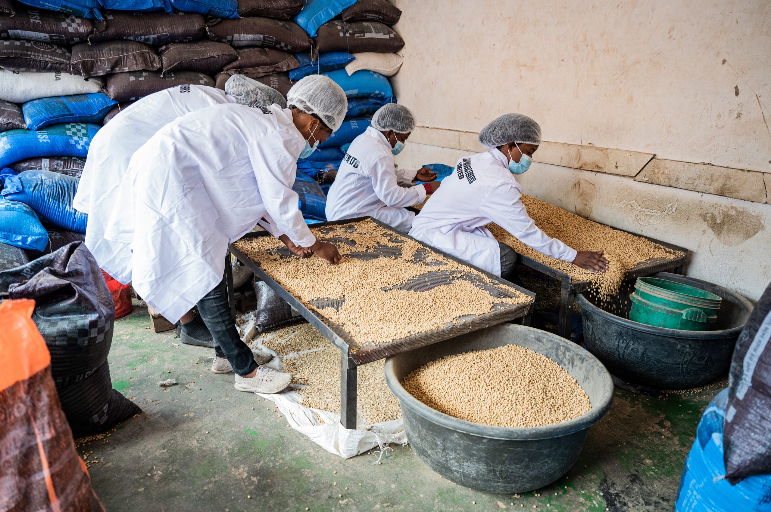 World Food Safety Day 2022 How African Food Companies Are Improving