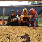 women-coffee-technology-ethiopia