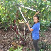 Dara-Obispo-woman-farmer-cacao-peru-amazon