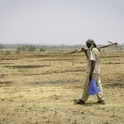 Field worker, Mundgod, Uttara Kannada district, Karnataka state, India.