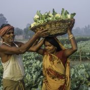 Vegetable farmer Geeta Devi in field.