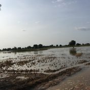 nigeria floods