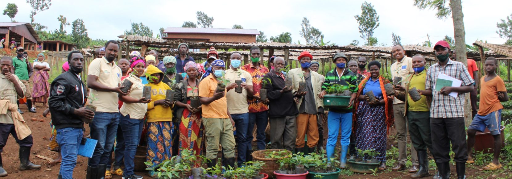 Farmers in Rwanda