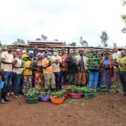 Farmers in Rwanda