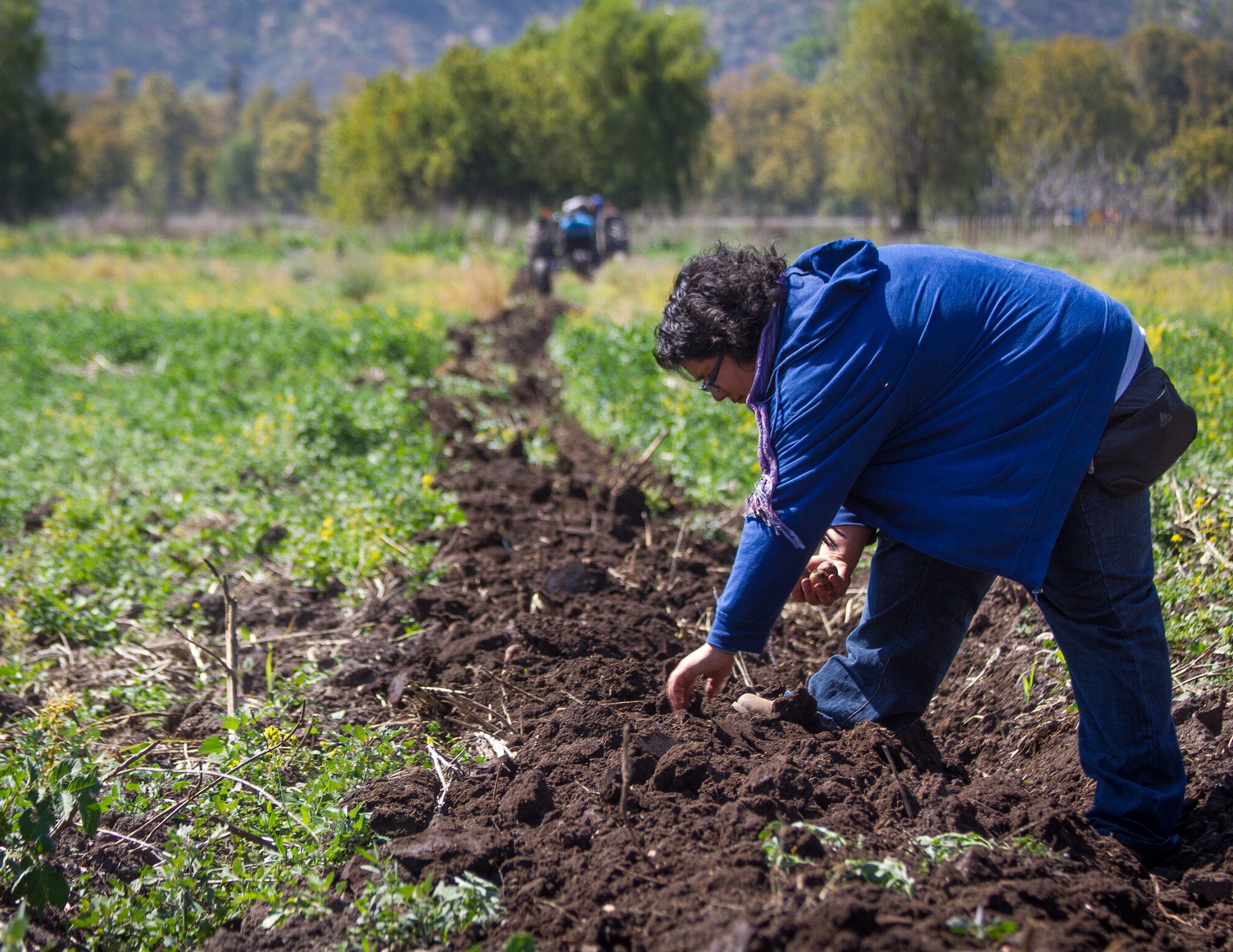 What is Regenerative Business? TechnoServe