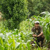 technoserve-farmer-in-field-crops