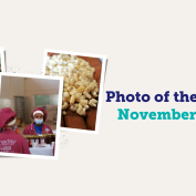 TNS photo of the month November 2022