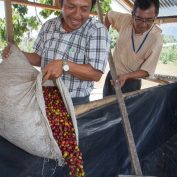 coffee farmer in Peru