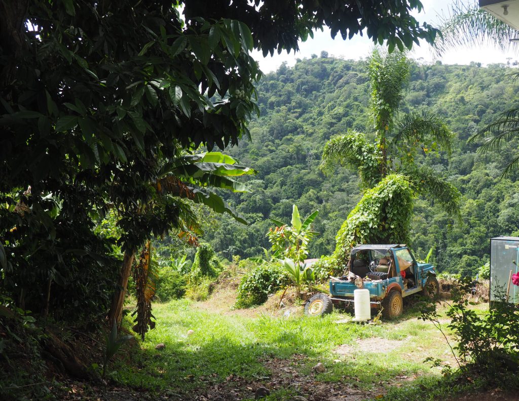 In 2022, Ashley Thompson visited several coffee farmers in Adjuntas, Puerto Rico to see their recovery since Hurricane Maria, which took place five years prior. The farmers included Agueda Ortiz, Rafael Rodriguez and his wife Joanna Rodriguez and their children Ariana Vanessa and Emily Rose, and Jose Roman.