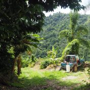 In 2022, Ashley Thompson visited several coffee farmers in Adjuntas, Puerto Rico to see their recovery since Hurricane Maria, which took place five years prior. The farmers included Agueda Ortiz, Rafael Rodriguez and his wife Joanna Rodriguez and their children Ariana Vanessa and Emily Rose, and Jose Roman.