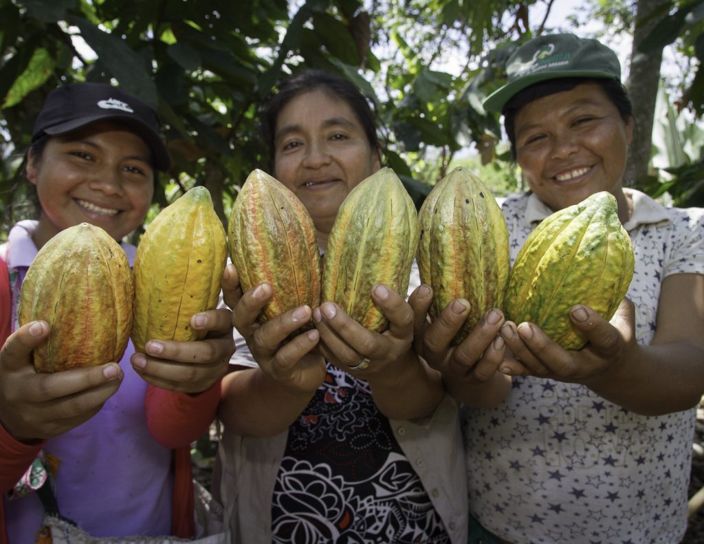 Delly Neyra Portocarrero (cacao), Santa Cruz Community, San José de Sisa, San Martín, Perú.