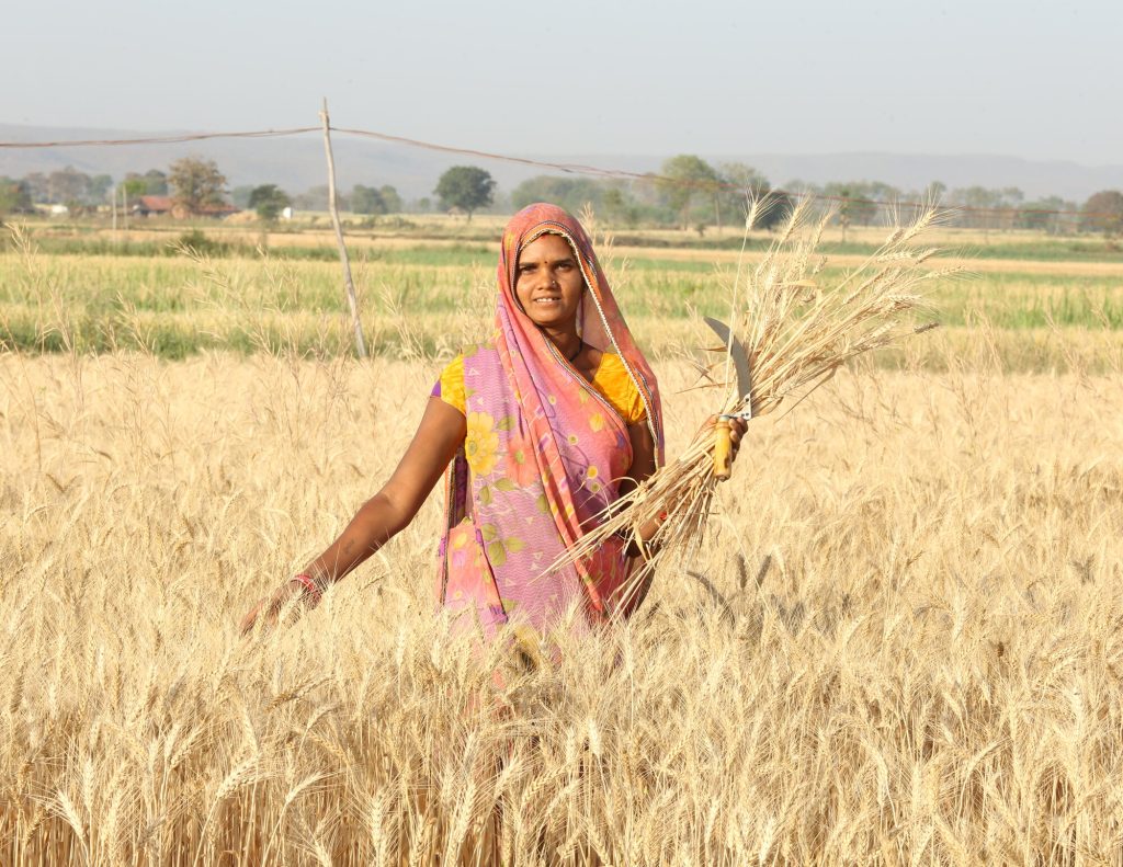 Kellogg (World Food Day) stills