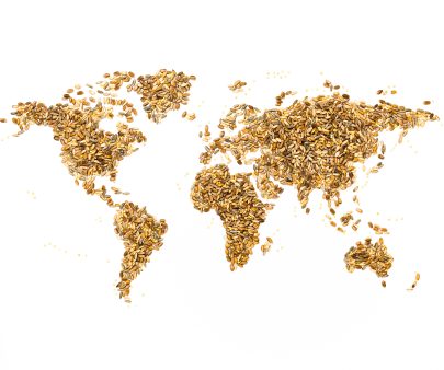 technoserve-presidents-council-world-map