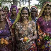 A group of women who are a part of Technoserve's kitchen garden program, pose for a group portrait in a kitchen garden in Bamanwali village, Bikaner, Rajasthan, India on October 24th, 2016. Non-profit organisation Technoserve works with farmer's wives in Bikaner, providing technical support and training for edible gardening, to improve the nutritional quality of their food and relieve financial stress on farming communities. Photograph by Suzanne Lee for Technoserve