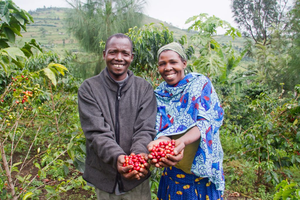 Woman and man coffee farmers in their fields in Kenya