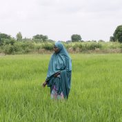 A farmer in northern Nigeria stands among her crops. COP28 outcomes blog post.