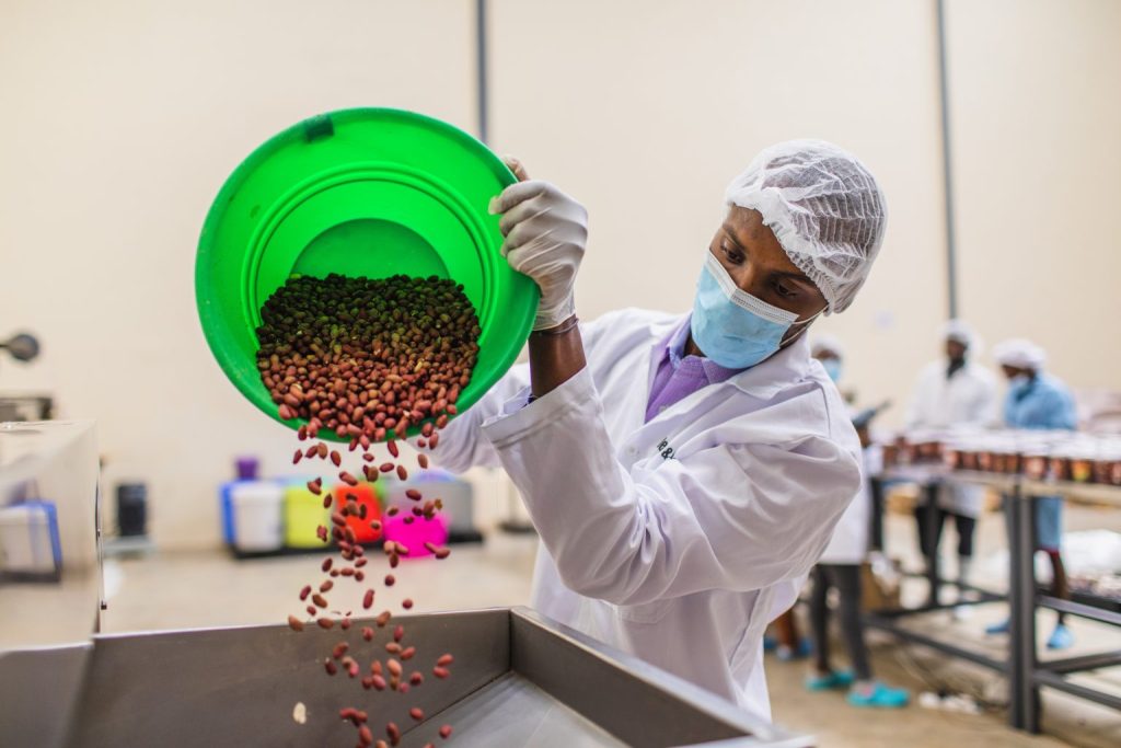 An image showing a worker at the Delish & Nutri plant in Kenya pouring peanuts into a machine