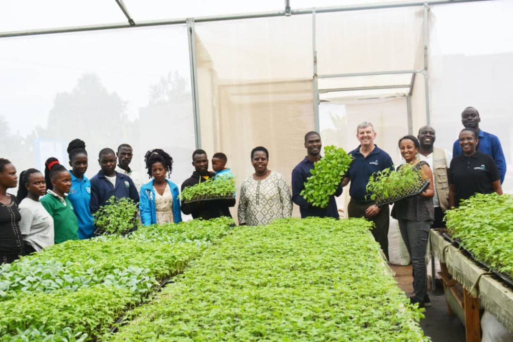 Mike Ssali, a young farmer participating in the HortiMAP project, shows samples of the seedlings he raised in his greenhouse in Nakifuma, Uganda.