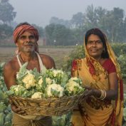 Two farmers in India stand in a field. Part of a blog post on COP28 outcomes.