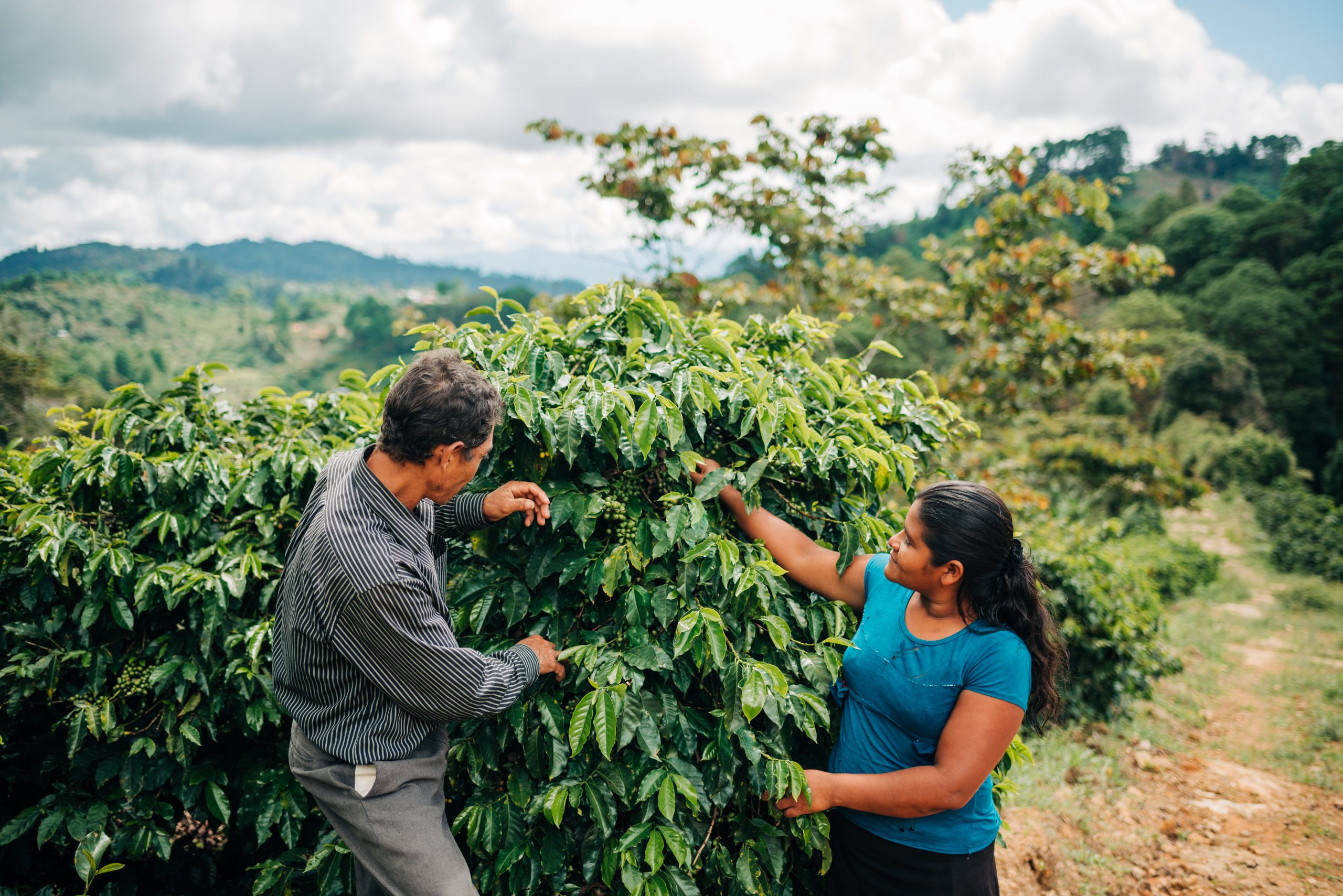 Nonprofit Impact Stories from the Field: Part 1