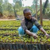 Linda Balezi weeding coffee seedlings at the Virunga Coffee nursery in Katana, Kabare Territory, DRC. Part of TechnoServe's 2023 year in review.