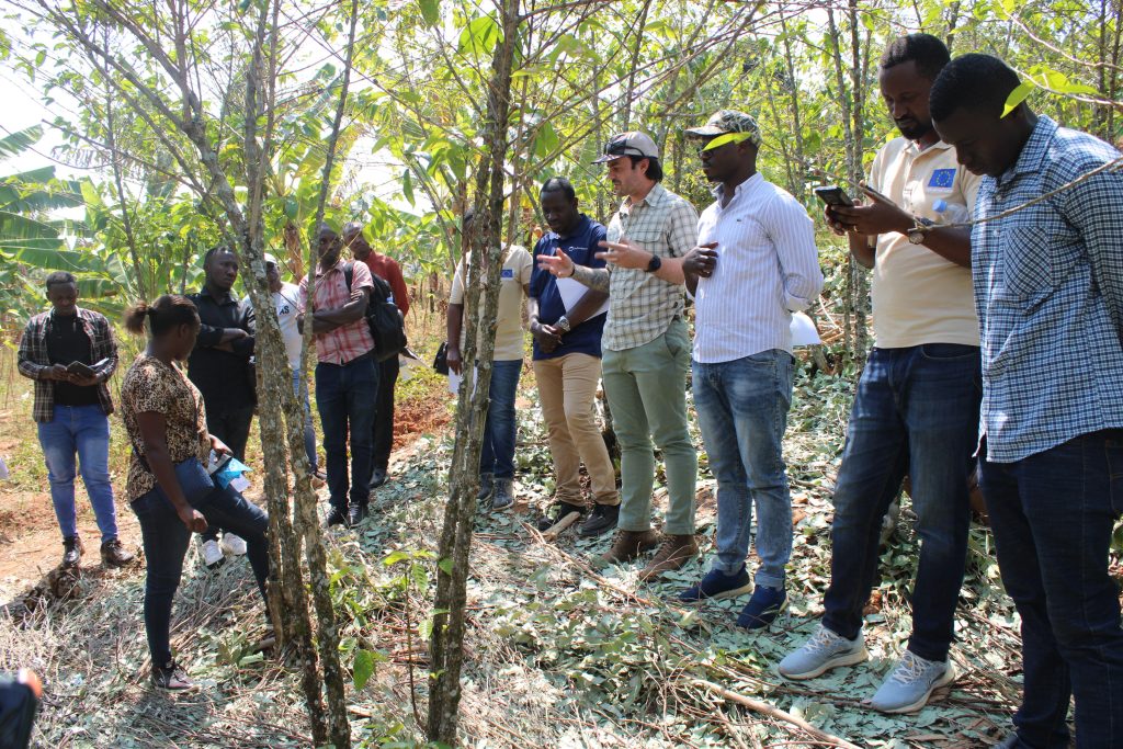 Africa Regional Program Director, Elijiah Townsend, discusses with agronomists how DFEMS can support Good Agriculture Practice data collection.