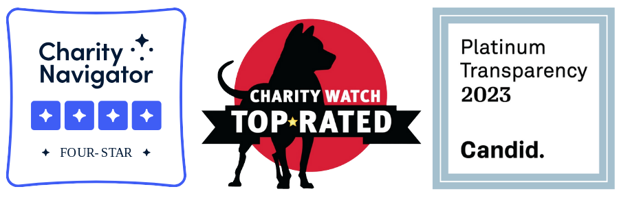 charity-navigator-charity-watch-candid-logos