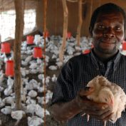 Chicken outgrower Domingos Alfordo Torres. Torres works closely with TechnoServe client Novos Horizontes Poultry in Nampula, Mozambique. Chicken is the main source of protein in the area. TechnoServe addresses global poverty.