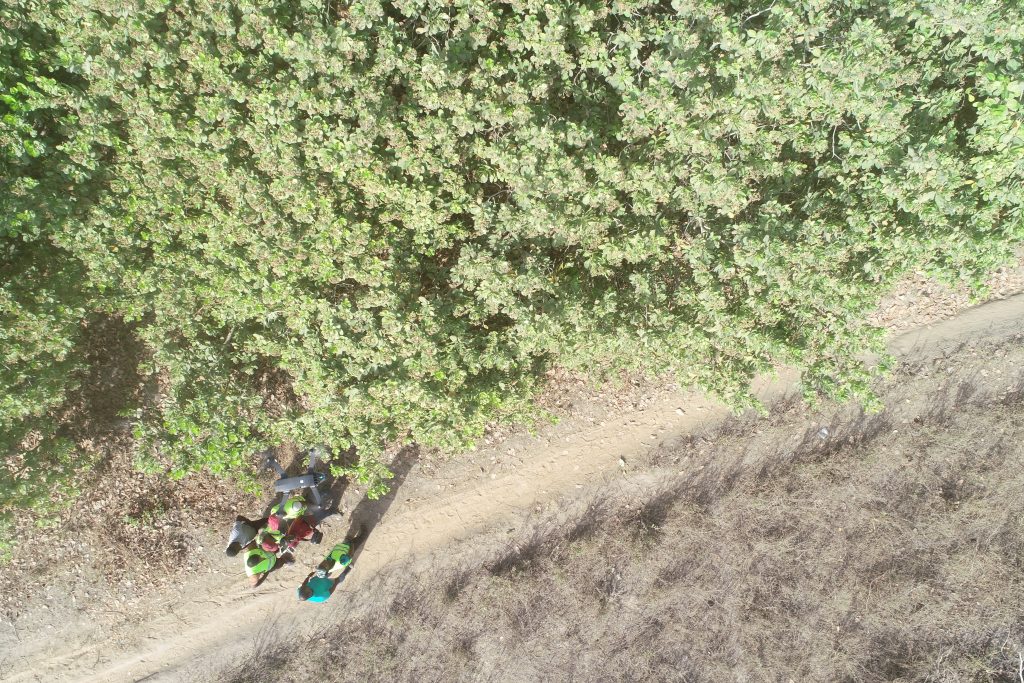 An aerial view of cashew in Benin. Part of a post on what we're looking forward to in 2024. 