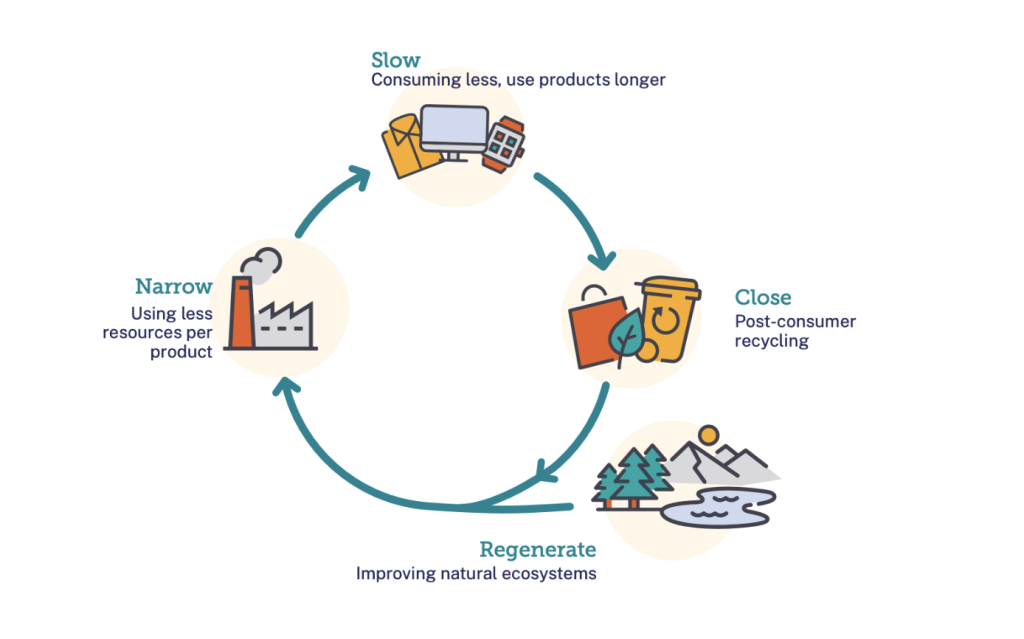 Material and energy flows in the circular economy.