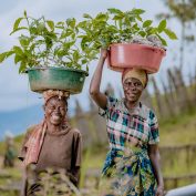 TechnoServe 2023 Annual Report Cover image of two women smiling in Rwanda carrying containers with green plants in them on their heads.