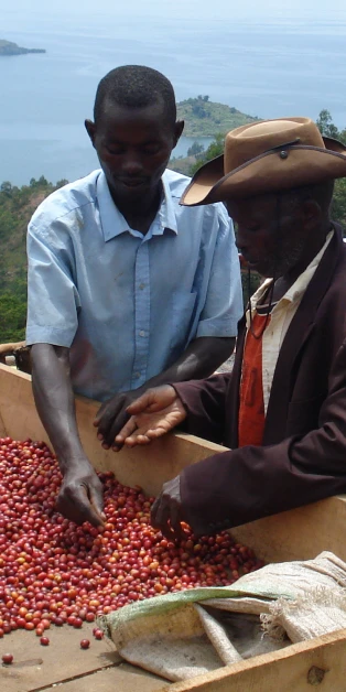 Small Farmers Looking at Cashews